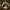 christmas ornaments Lapras