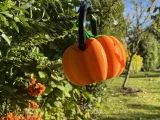 Dual Face Pumpkin-4