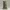 Vinebound Ruin Column – Ancient Jungle Relic Diorama