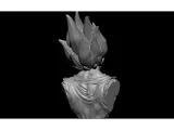 Majin Vegeta-2