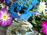 Flower Sprite-5