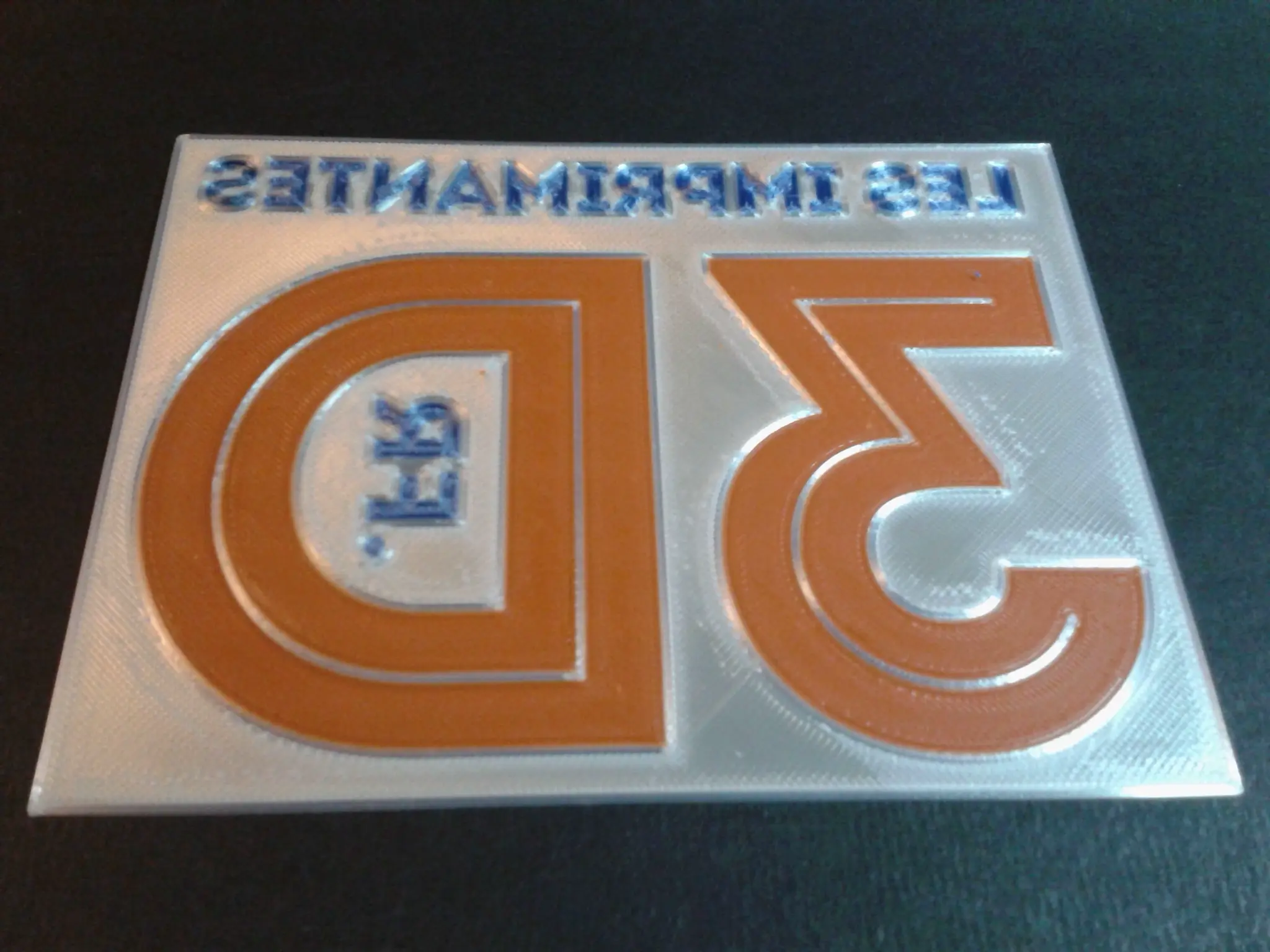 logo lesimprimantes3d.fr essai 04 (scindable Multi Couleur)