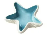 Starfish-1