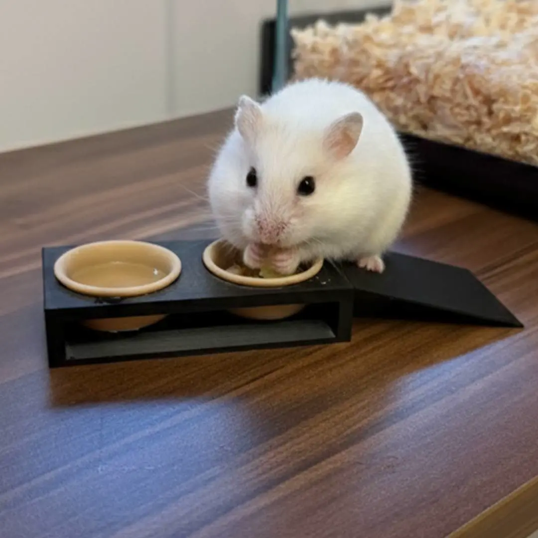 Small Pet Feeder with Ramp STL - Hamster & Gecko Food Statio