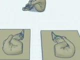 figure-0