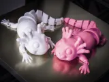 FLEXI BABY AXOLOTL-1
