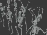 Human Skeleton Dynamic Pose Pack-5