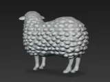 sheep-4