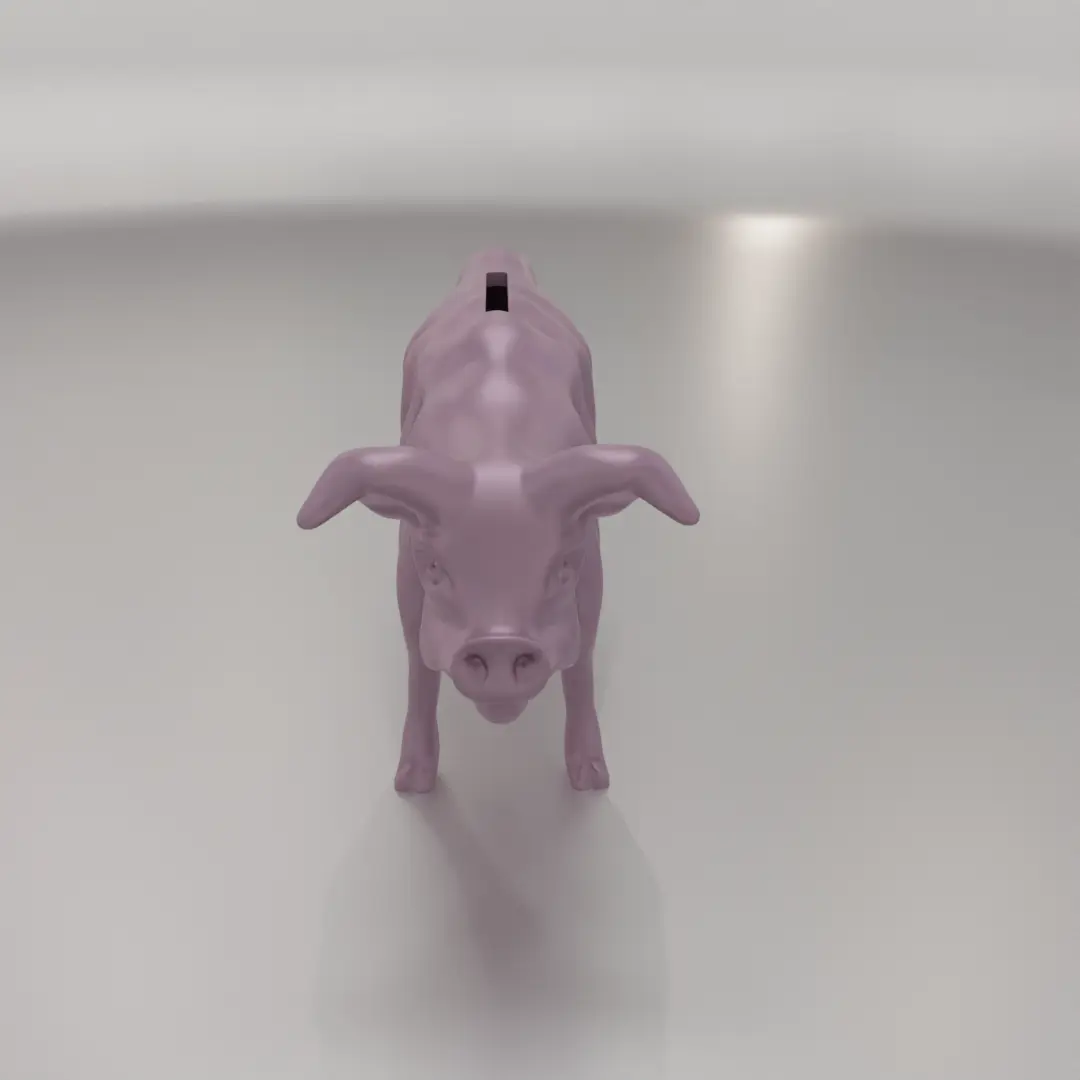 Poor Skinny Thin Piggy Bank