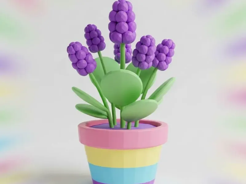 Lavanda