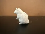 Racoon-1