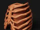 Ribcage Skeleton Planter | Gothic Anatomy Flower Pot-4