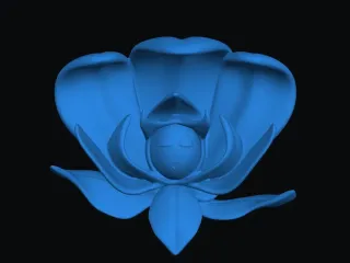 flower head
