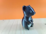 Ermellino Carino-1
