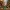 Festive Steve! Minecraft Holiday Skin Figure