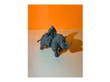 rhinocerontis-1