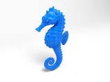 Sea​​horse-3