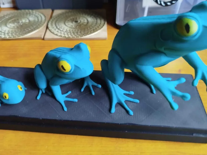Frog Growth Trio – Education Life Series
