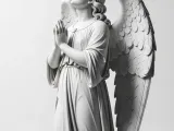Anjo-0