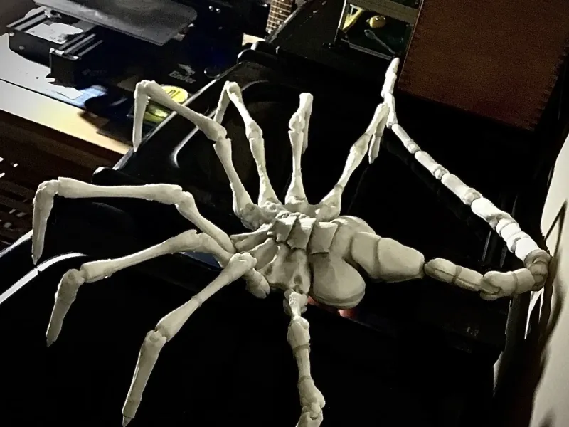 Alien Face Hugger. De tamaño natural y hermoso. 