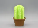 Cactus décor-6