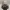 Geralt Of Rivia / The Witcher