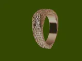 Crocodile Skin Ring-5