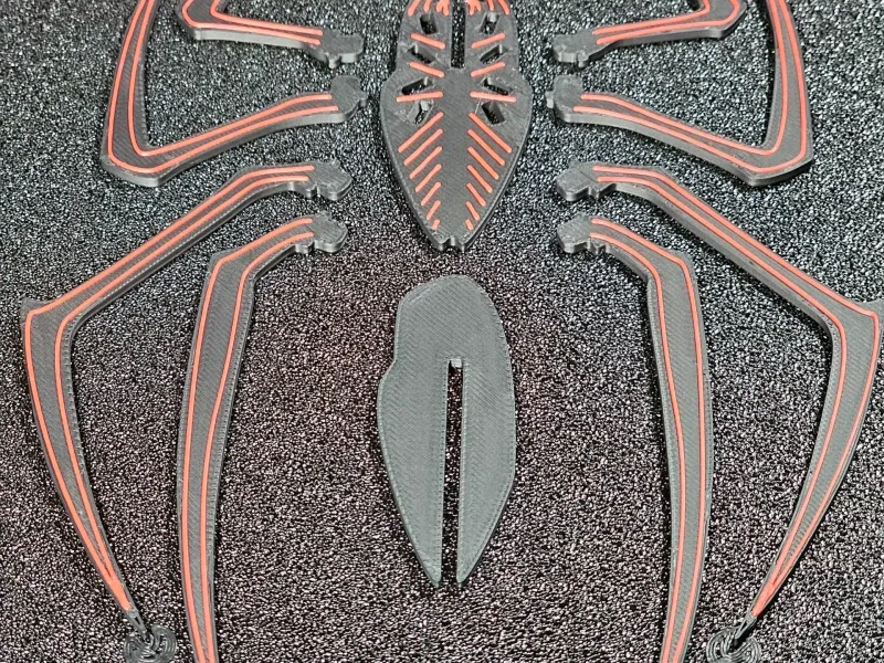 Kit de Cartão de Aranha - 2