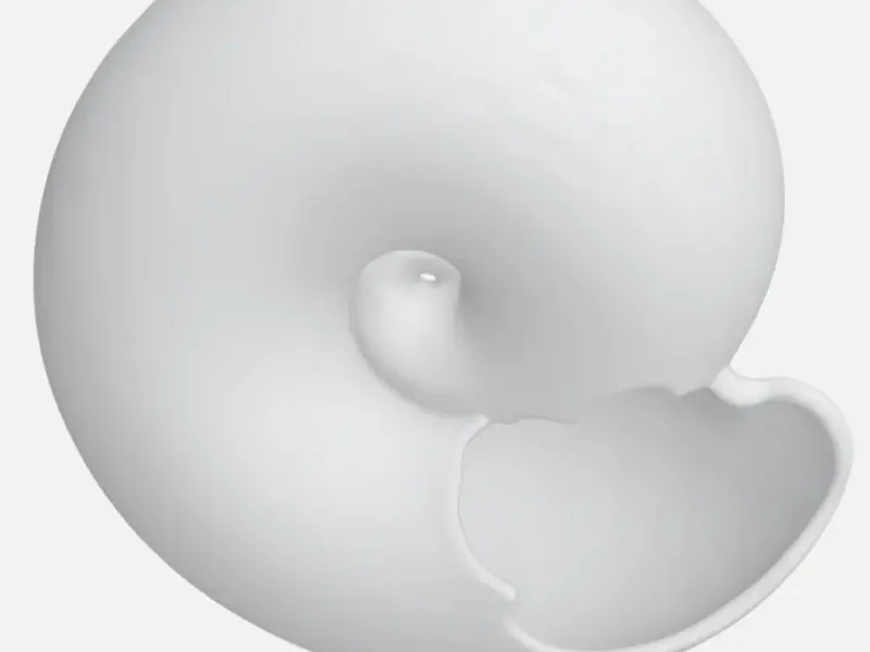Shell