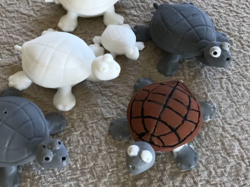 Bubble Turtle