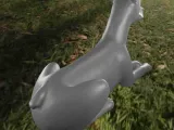 Dog Doberman-5
