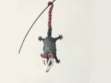 Hanging opossum-7