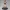 Crimson Pirate Captain – Adventure Glamour Pose Ecchi