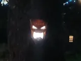 Spooky Tree Face-1