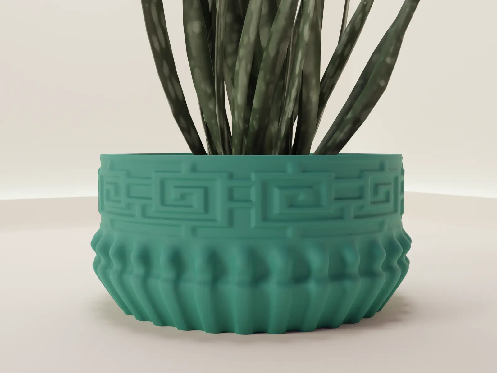 plant pot succulent 55