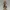 Dune Veil Assassin – Twin Blade Desert Shadow 3D Figurine