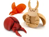 Happy Beetles-4