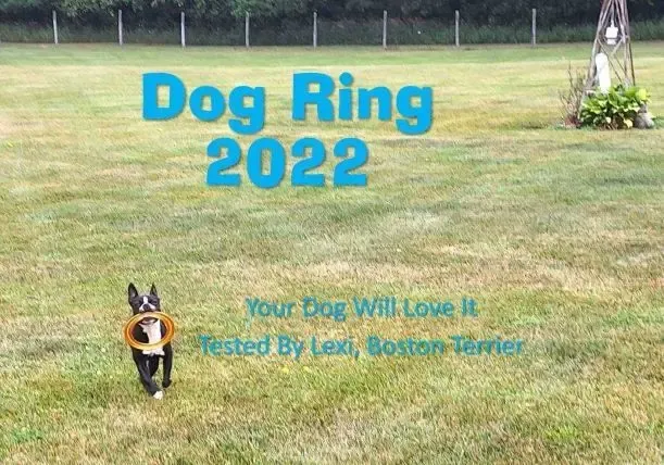 Dog Toy - Flying Ring - Distance Flight