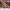 PAQUETE 1 Z-MINIS DE STRANGER THINGS