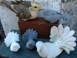 Two Bird Models-0
