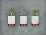 Wall Pot Planter-1
