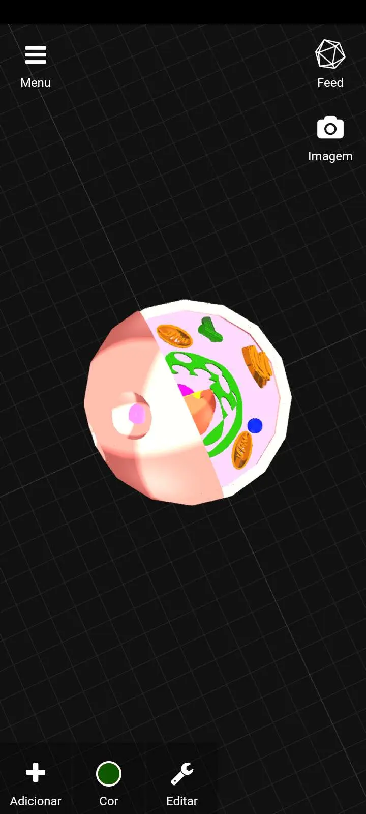 Cell / Célula