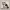 Chaveiro Gato Sentado (PB-1 Face)