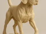 Beagle -1