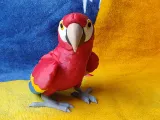Scarlet Macaw-5