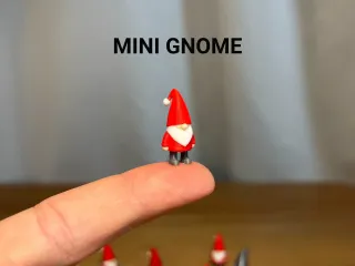 Mini Gnome