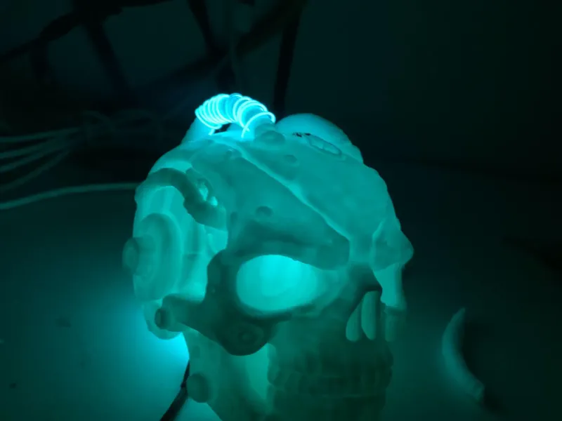 Cryo Skull