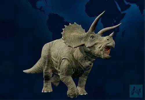 Triceratops