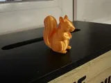 Mini Squirrel – Fast Print-2