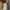 Harry_Potter_Buchnische